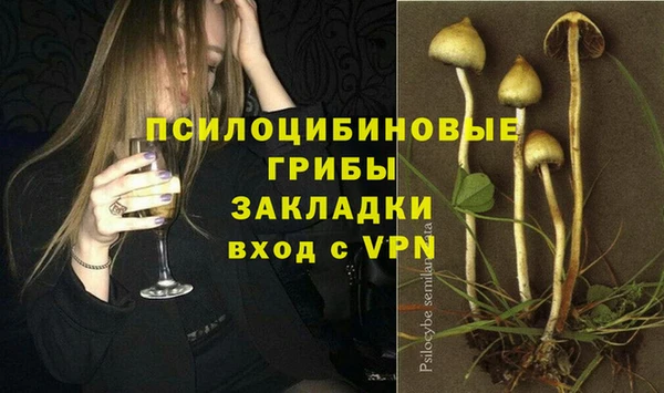 MESCALINE Богданович